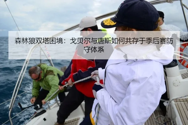 森林狼双塔困境：戈贝尔与唐斯如何共存于季后赛防守体系（yaxin）